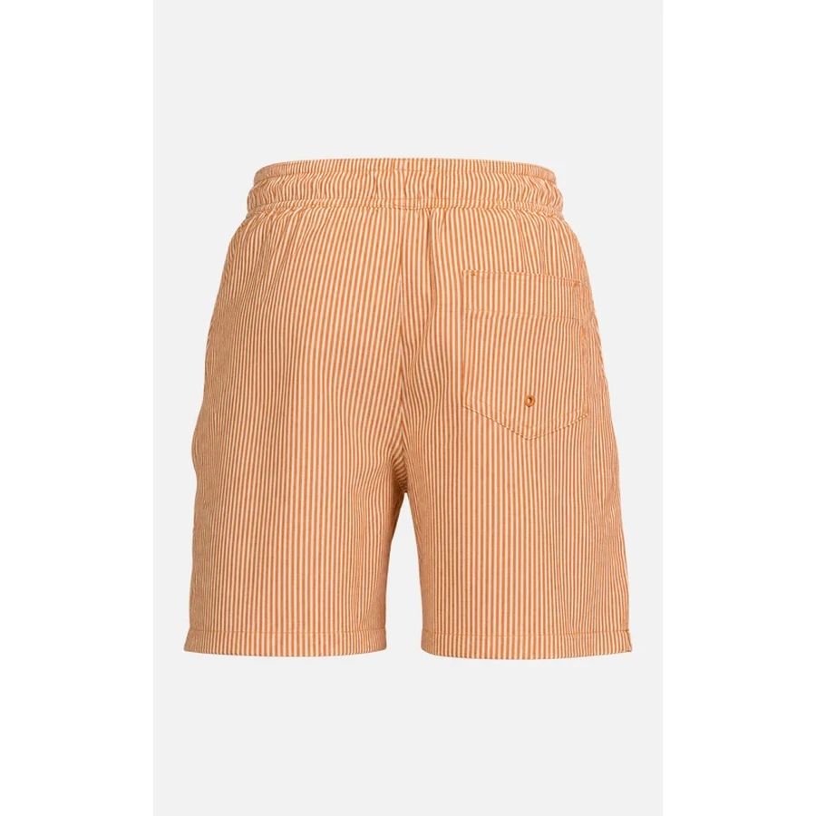 Kids Energy Orange Stripe Seersucker Swim Shorts
