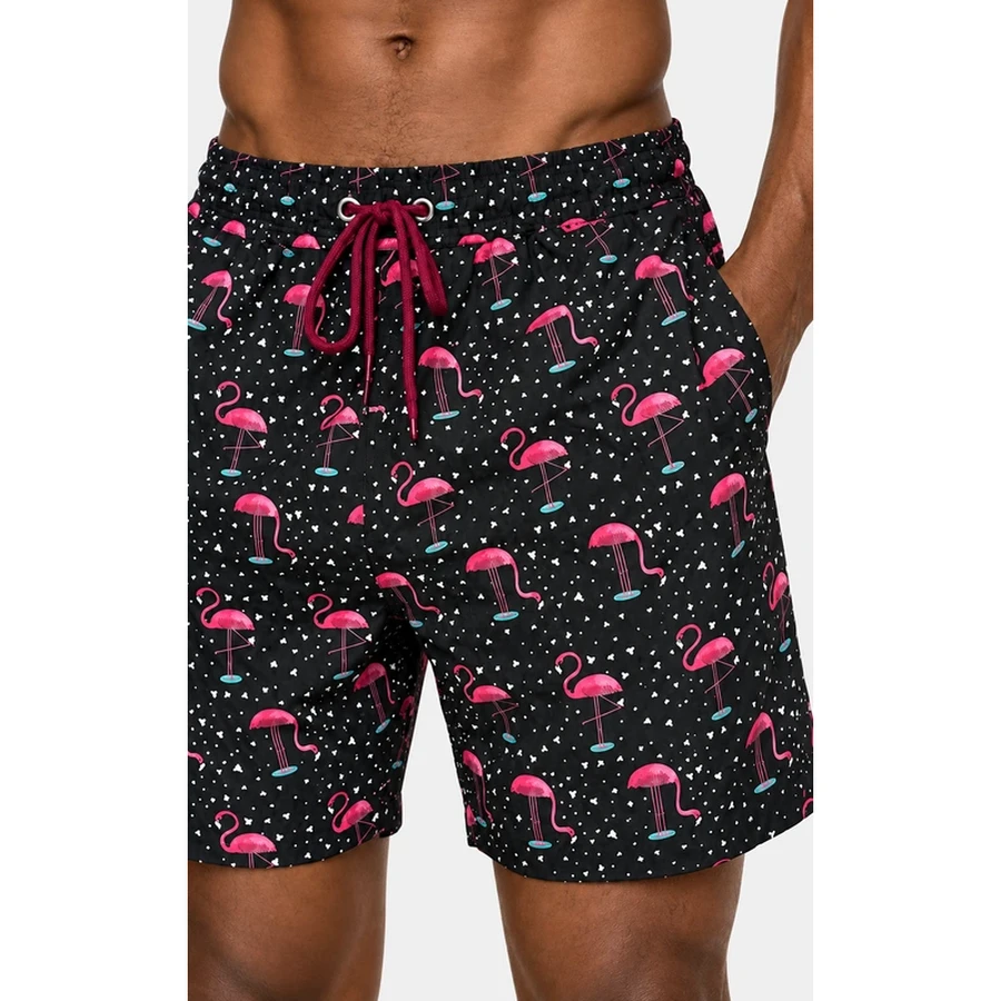 Men's Flamingo Print Drawstring Swim Shorts